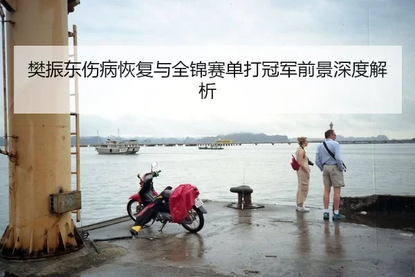 樊振东伤病恢复与全锦赛单打冠军前景深度解析