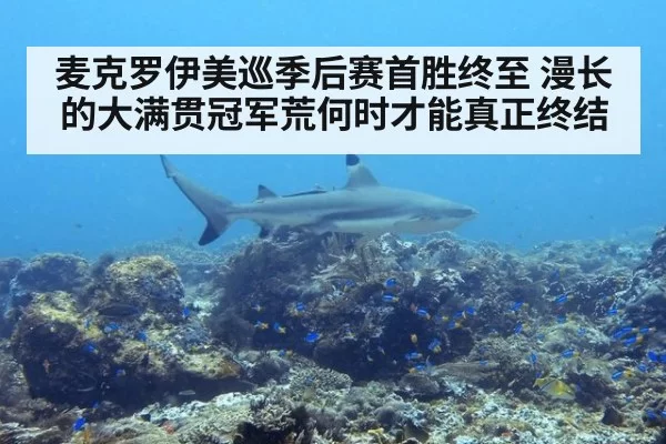 麦克罗伊美巡季后赛首胜终至 漫长的大满贯冠军荒何时才能真正终结